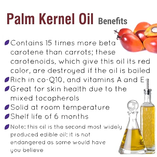 Crysalis Palm Kernel (Elaeis Guineensis) Oil |100% Pure & Natural Undiluted Carrier Oil Organic Standard| Perfect for Skin Care & Hair Care |Aromatherapy Oil| 30ml with Dropper