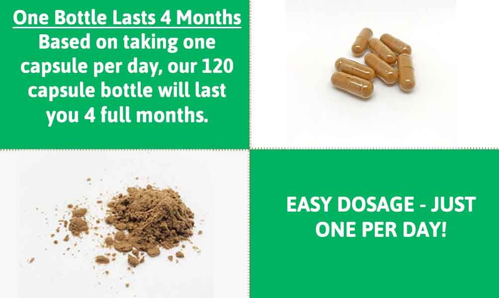 optimum-fx Dandelion Root Extract Capsules 500 mg 120 Capsules