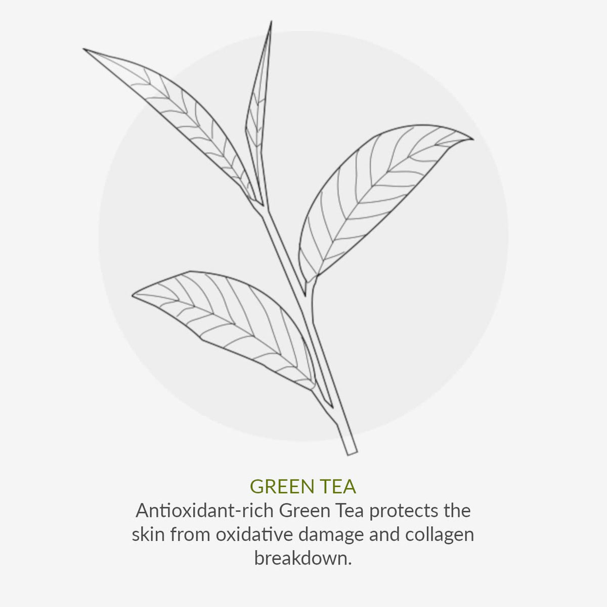 Green People Oy! My Skin Goals – Special Edition| Natural & Organic Teenage Skin Care Gift Set | Willow Bark & Tea Tree | For Pre-Teens, Tweens & Teens with Spots & Blemishes | Cruelty-Free & Vegan