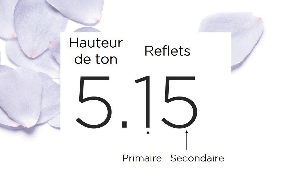 L’Oréal Paris L'Oréal Paris Excellence Cream Permanent Hair Colour - Shade: Copper Mahogany (6.54)