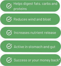 Cura Nutrition CURA NUTRITION - CuraZyme Vital (30 Capsules) | for Sensitive Stomachs, Nutrient Supplements, Digestive Enzymes Supplement Blend, Gut Health Supplement, Easy Digest, Vegan, Dairy Free