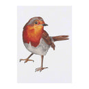 Azeeda 'Robin' Temporary Tattoo - Winter Garden Bird Red Breast Art - Water Resistant, Skin-Safe, Non-Toxic Transfer (TO00037998)