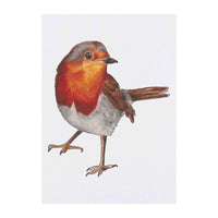 Azeeda 'Robin' Temporary Tattoo - Winter Garden Bird Red Breast Art - Water Resistant, Skin-Safe, Non-Toxic Transfer (TO00037998)