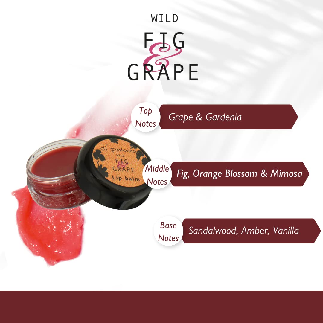 Di Palomo Wild Fig & Grape Lip Balm 10ml | Moisturising Lip Treatment with Tint | Hydrating Lip Care for Dry, Cracked Lips | Vaseline Lip Balm Therapy