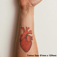 Azeeda 'Human Heart' Temporary Tattoo - Water Resistant, Skin-Safe, Non-Toxic Transfer (TO00078785)