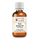Greenwood Essential Pure Ocotea Oil (Ocotea quixos) Cold Pressed Natural Therapeutic Grade 10ml (0.33 oz)