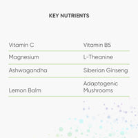 Nutri Advanced - Resilience - Stress Support with Ashwagandha, Ginseng, Lemon Balm and Mushroom Extracts with L-theanine and Vitamins - 60 Capsules