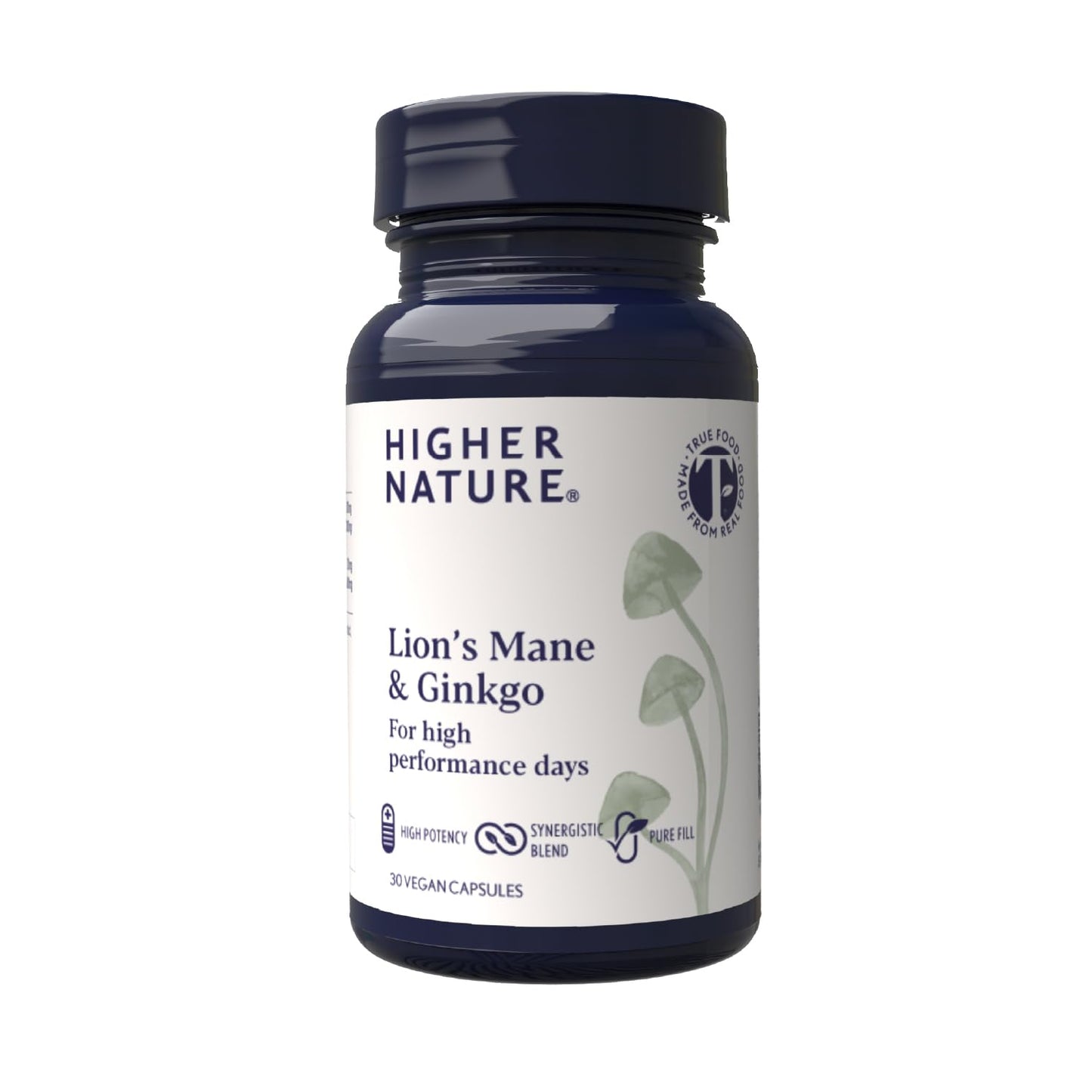 HIGHER NATURE Higher Nature - Lion's Mane & Ginkgo - for High Performance Days - High Strength Ginkgo Biloba 6000mg & Lion's Mane Mushroom 3000mg - Vegan Formula - 30 Capsules