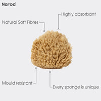Naroa NAROA Natural Baby Bath Sponge in Gift Box | Soft Sea Unbleached Sea Washcloth for Babies | Newborn Shower Time Essentials | Pregnancy Registry Boy Girl