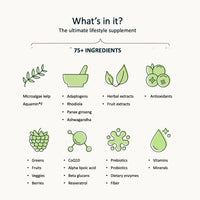 Greens Powder by Nuzest – Good Green Vitality – Filled with Vitamins, Minerals & Superfoods – Vegan Multivitamin Greens Drink - Gluten Free - Dairy Free - (10g (Box of 5))