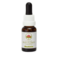 Bauhinia 15 ml Stockbottle Australian Bush Flower Essences