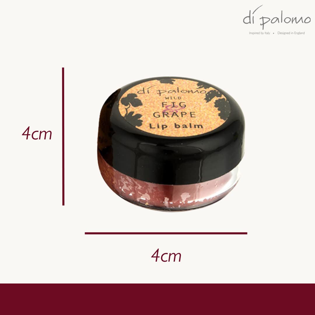 Di Palomo Wild Fig & Grape Lip Balm 10ml | Moisturising Lip Treatment with Tint | Hydrating Lip Care for Dry, Cracked Lips | Vaseline Lip Balm Therapy