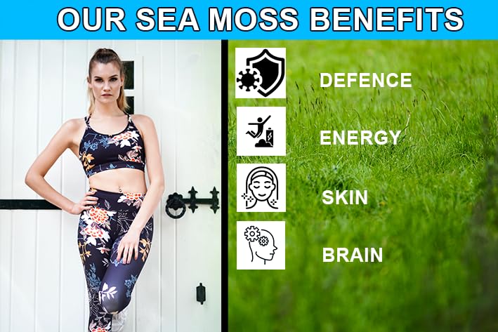 MetaSuperfoods Sea Moss and Bladderwrack 120 Capsules (3600mg) | Vegan | Wild Harvested Sea Moss | Non GMO | Dr Sebi Irish Sea Moss