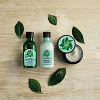 The Body Shop Fuji Green Tea Scrub Shampoo