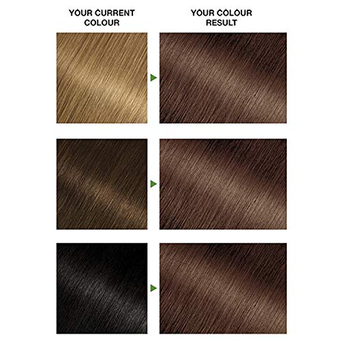 Garnier Nutrisse 6 Light Brown Permanent Hair Dye, 1.398 kg