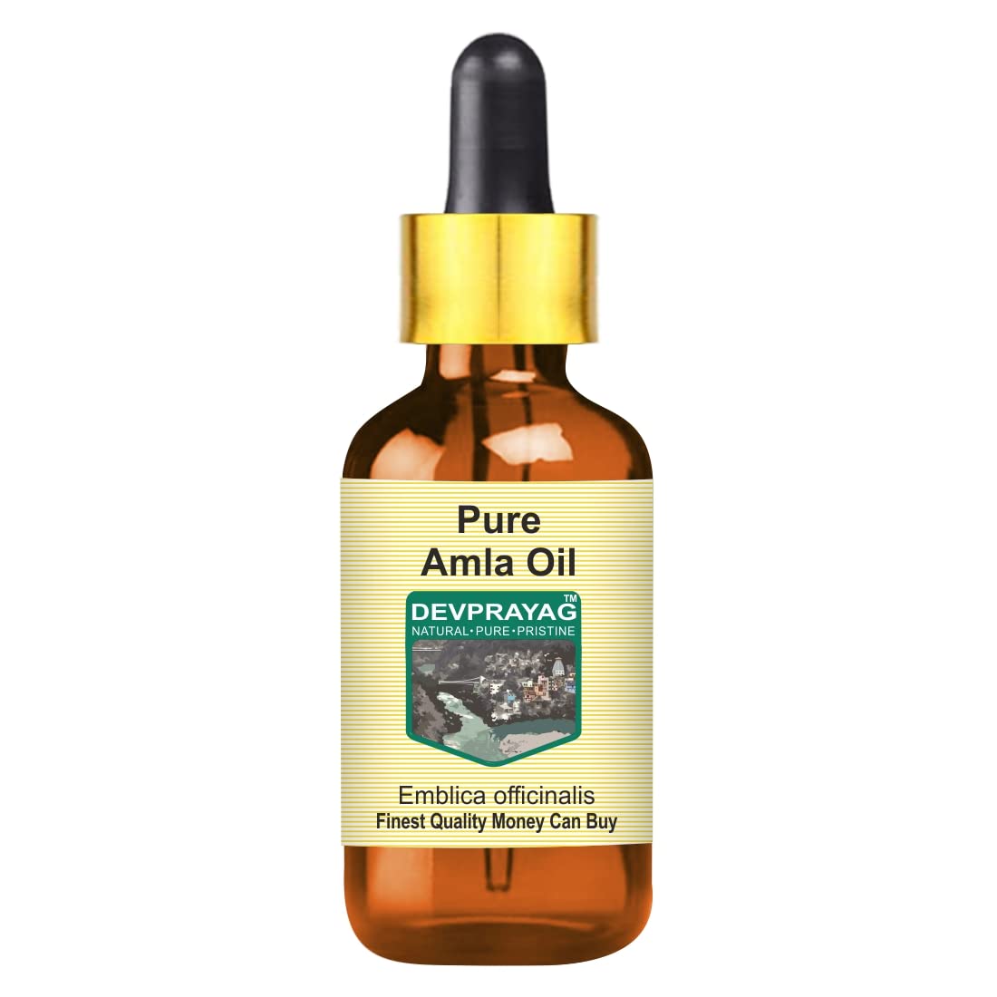 DEVPRAYAG Devprayag Pure Amla Oil (Emblica officinalis) with Glass Dropper Natural Therapeutic Grade 100ml (3.38 oz)