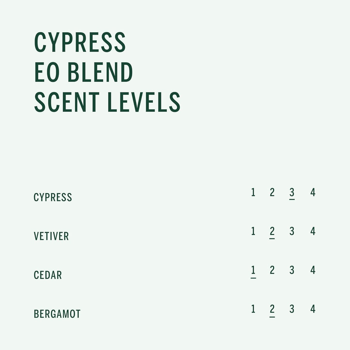 Corpus - Cypress Shampoo | Vegan, Cruelty-Free, Non-Toxic, Made In The USA (9 fl oz | 266 ml)