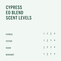 Corpus - Cypress Shampoo | Vegan, Cruelty-Free, Non-Toxic, Made In The USA (9 fl oz | 266 ml)