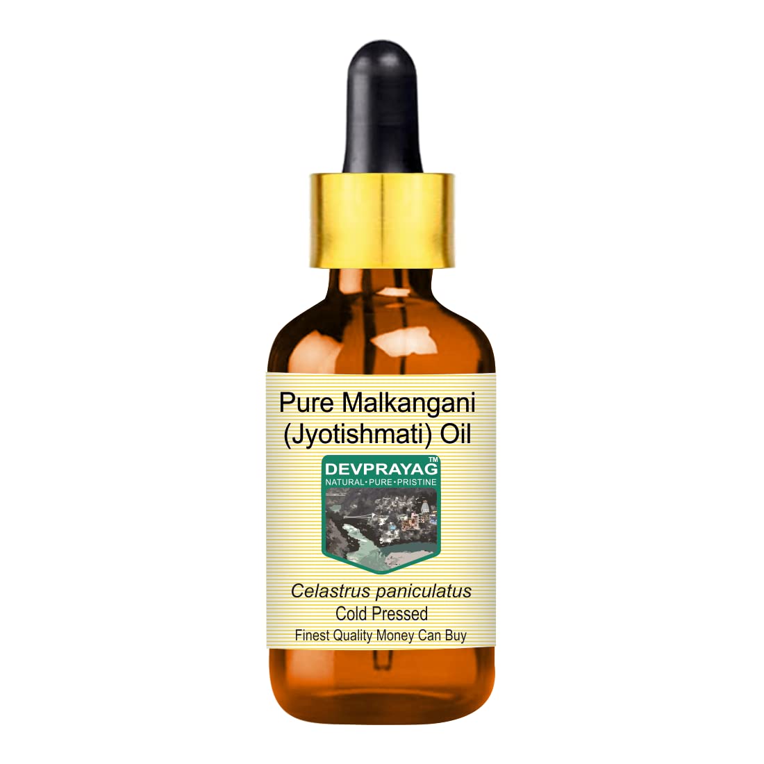 DEVPRAYAG Devprayag Pure Malkangani (Malkangni/Jyotishmati) Oil (Celastrus paniculatus) with Glass Dropper Natural Therapeutic Grade Cold Pressed 5ml (0.16 oz)