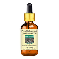 DEVPRAYAG Devprayag Pure Malkangani (Malkangni/Jyotishmati) Oil (Celastrus paniculatus) with Glass Dropper Natural Therapeutic Grade Cold Pressed 5ml (0.16 oz)