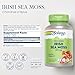 SOLARAY Irish Sea Moss 500 mg Naturally Occurring Vitamins, Minerals, and Fiber Herbal Support for Gut Health and More - Vegan, Gluten Free, Lab Verified - 60 Day Guarantee - 100 Servings, 100 VegCaps