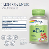 SOLARAY Irish Sea Moss 500 mg Naturally Occurring Vitamins, Minerals, and Fiber Herbal Support for Gut Health and More - Vegan, Gluten Free, Lab Verified - 60 Day Guarantee - 100 Servings, 100 VegCaps
