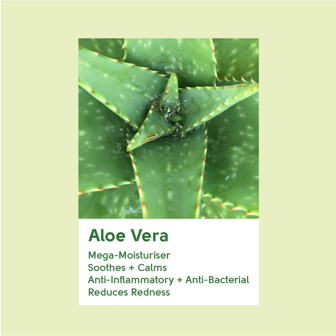 Face Facts Hydrating Day Cream | Aloe Vera | 50ml