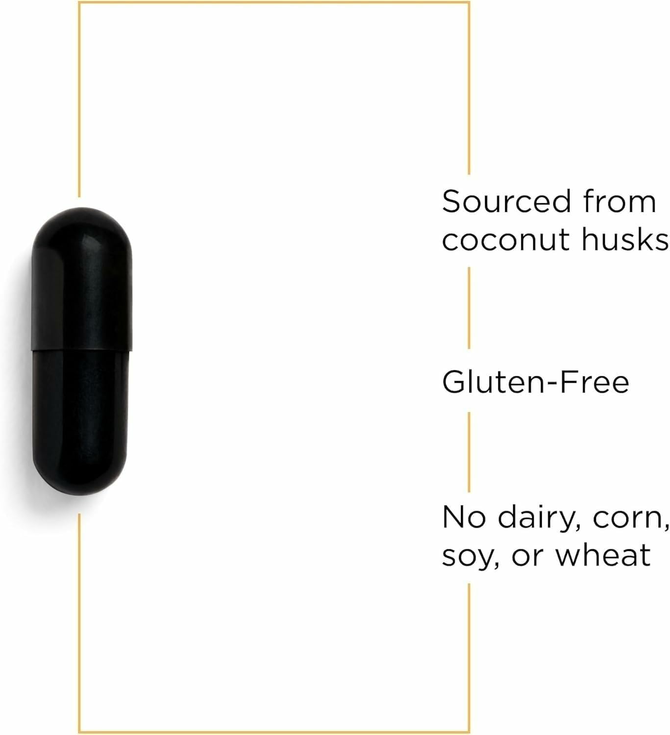 Integrative Therapeutics Activated Charcoal - Digestive & Gut Health Supplement* - Gastrointestinal Support* - Gluten-Free & Dairy-Free - 100 Capsules (50 Servings)