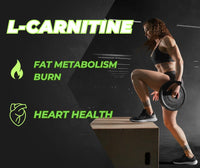 PROFUEL Creatine, L-Carnitine & Cordyceps Powder - 240g - Increase Strength & Performance - Gym Supplement for Men & Women