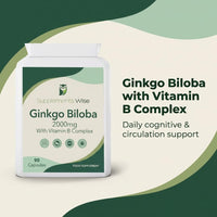 Supplements Wise Ginkgo Biloba Capsules 90 x 2000mg - Dizziness and Vertigo Treatment - Focus Tablets, Concentration Pills for Brain, Memory - Blood Circulation -Ginkgo Biloba Herbal Supplements with Vitamin B Complex