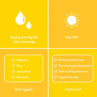Q+A Peptide SPF 50 Anti-Ageing Daily Sunscreen (50ml), Broad-Spectrum UVA/UVB Protection with Pre-Peptides, Fragrance Free Skincare, Helps Prevent Signs of Ageing while Protecting from UV Damage