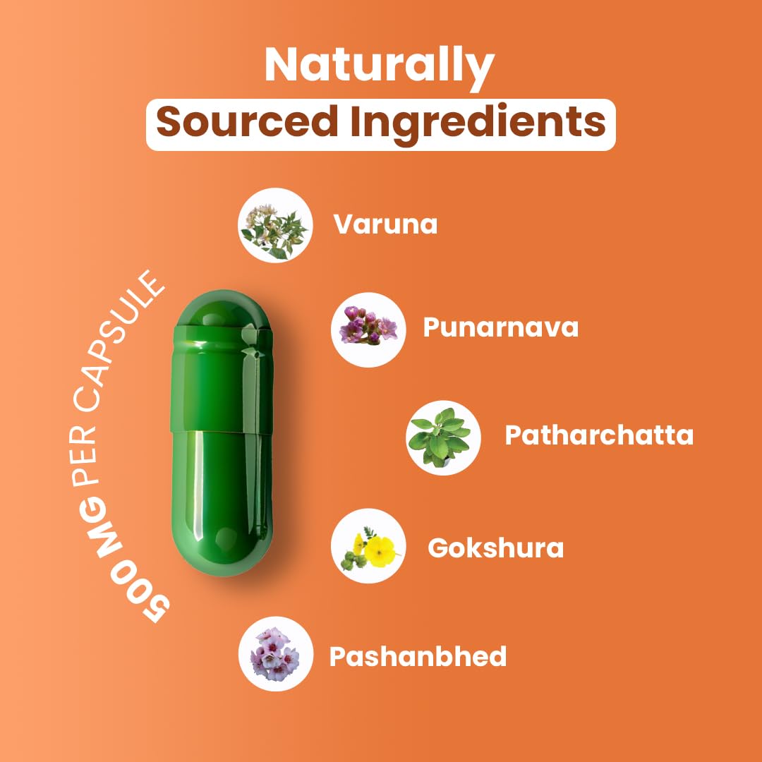 ZEROHARM Kidney Support – Herbal Supplement with Varuna, Punarnava, Gokshura, Patharchatta – Liposomal Absorption – Food Sourced Ingredients for Men & Women – 60 Vegan Capsules