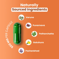 ZEROHARM Kidney Support – Herbal Supplement with Varuna, Punarnava, Gokshura, Patharchatta – Liposomal Absorption – Food Sourced Ingredients for Men & Women – 60 Vegan Capsules