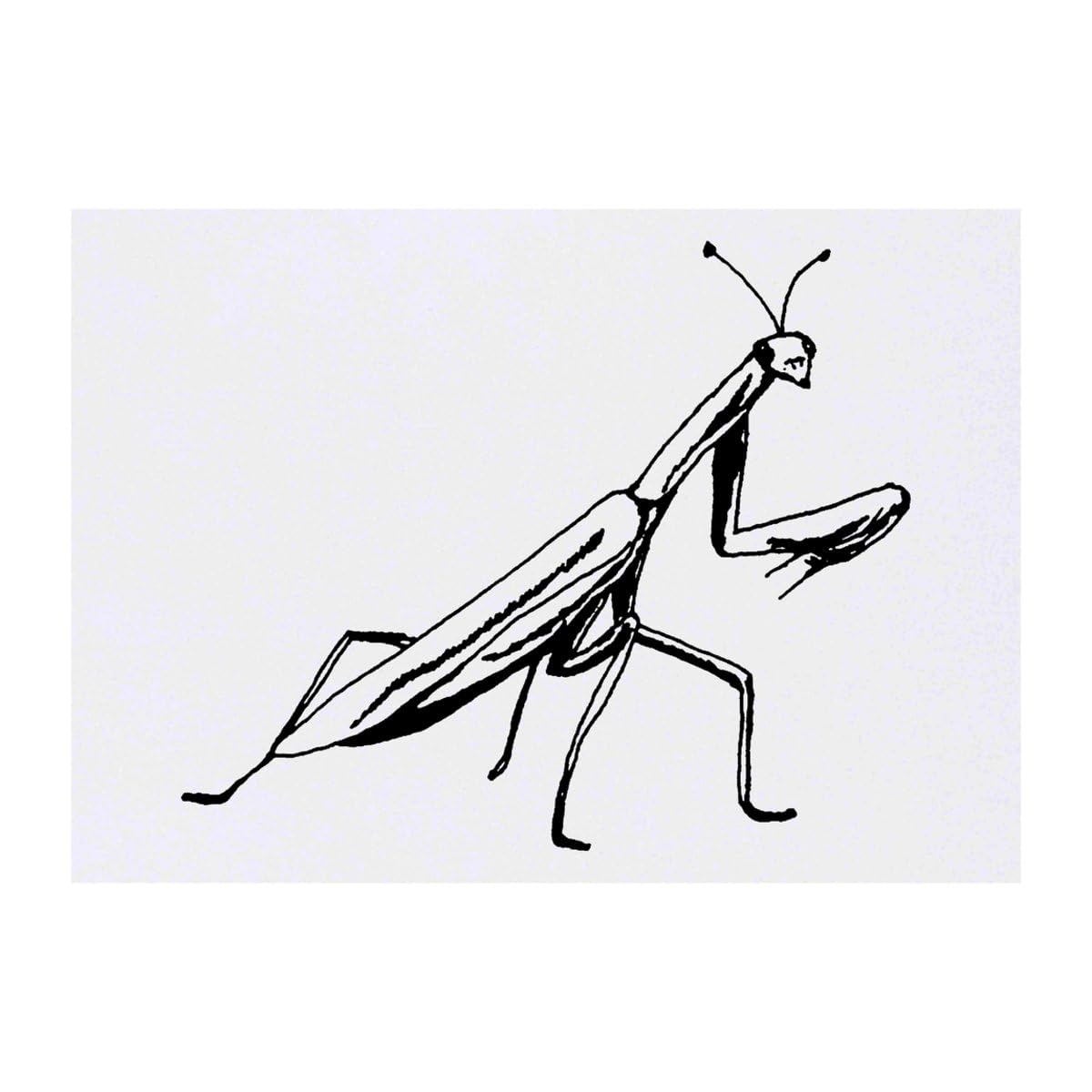 Azeeda 'Praying Mantis' Temporary Tattoo - Water Resistant, Skin-Safe, Non-Toxic Transfer (TO00032723)