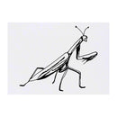 Azeeda 'Praying Mantis' Temporary Tattoo - Water Resistant, Skin-Safe, Non-Toxic Transfer (TO00032723)