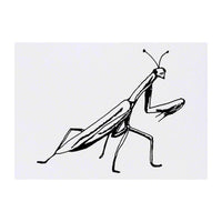 Azeeda 'Praying Mantis' Temporary Tattoo - Water Resistant, Skin-Safe, Non-Toxic Transfer (TO00032723)