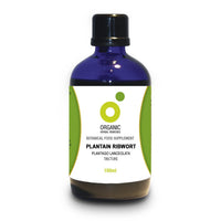 Organic Herbal Remedies 100 ml Plantain Tincture