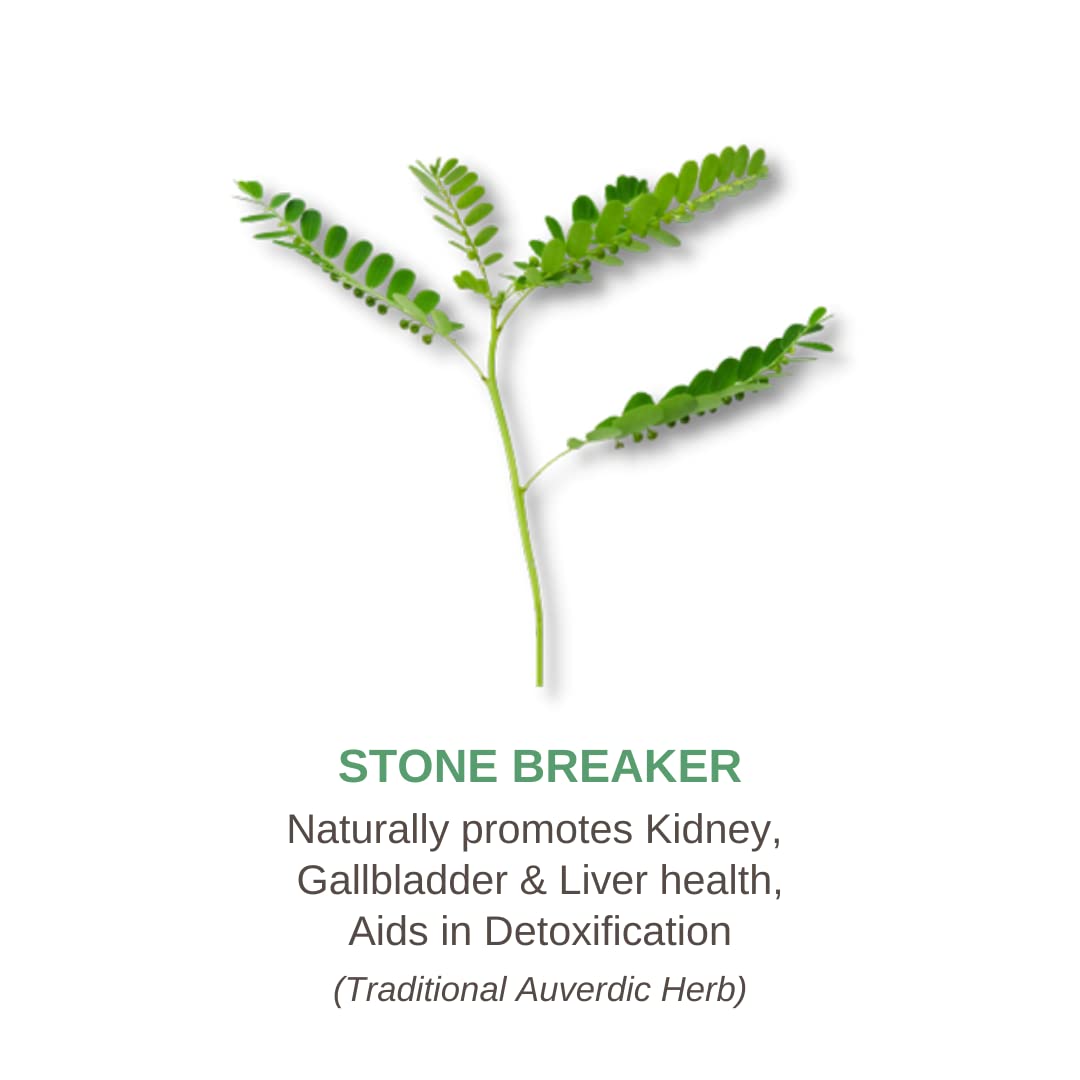 KEPTA health in nature KEPTALIT Natural Liver and Kidney Support Stone Breaker Extract Kidney Cleanse Herbal Supplement Source of Polyphenols - 60 Vegan Capsules - 1 Month Supply