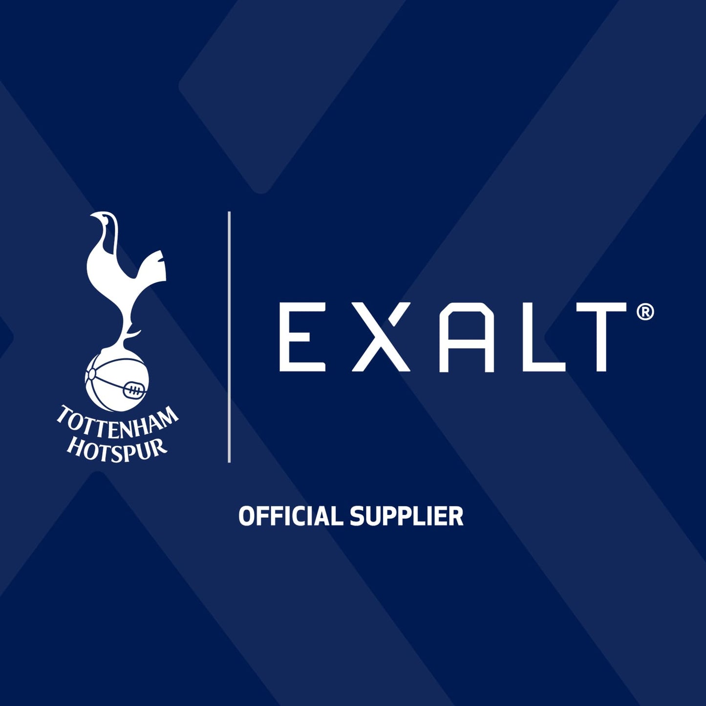 EXALT | Premium Vegan Protein Powder - 100% Plant-Based – Gluten Free - No Artificial Flavours or Additives | Madagascan Vanilla | 500G