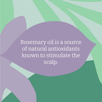 FAITH IN NATURE Faith In Nature Natural Rosemary Shampoo, Stimulating for Normal Hair & Scalp, Vegan & Cruelty Free, No SLS, Silciones or Parabens, 400ml