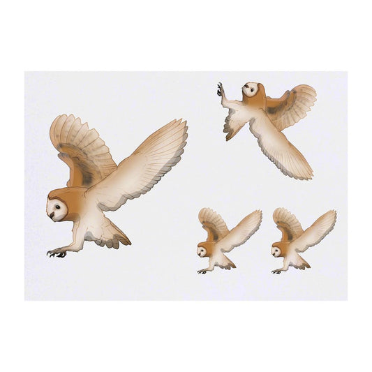 Azeeda 4 x 'Flying Barn Owl' Temporary Tattoos - Water Resistant, Skin-Safe, Non-Toxic Transfers, Mixed Sizes (TO00080668)