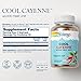 SOLARAY Cool Cool Cayenne 40,000 HU, Healthy Digestion, Circulation, Metabolism & Cardiovascular Support 180 VegCaps