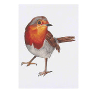 Azeeda Large 'Robin' Temporary Tattoo (TO00037998)