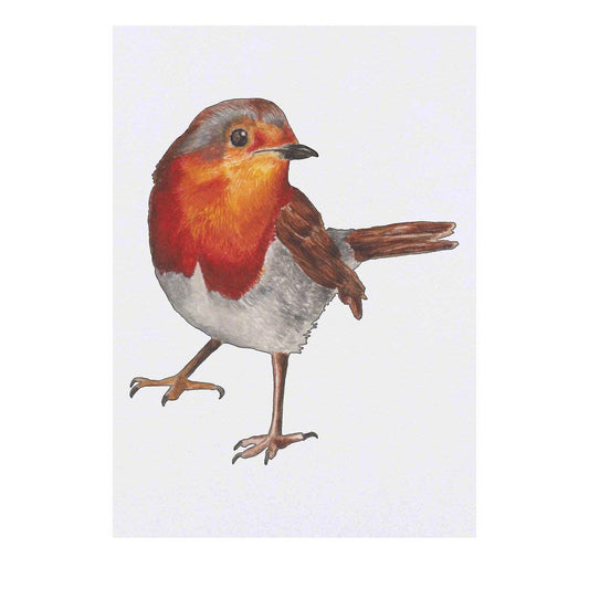 Azeeda Large 'Robin' Temporary Tattoo (TO00037998)
