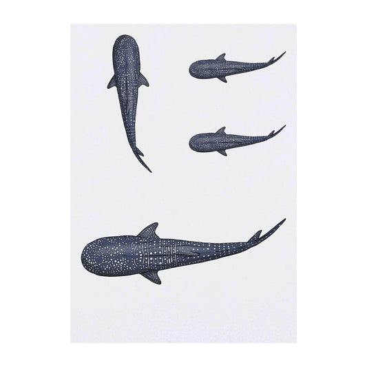 Azeeda 4 x 'Whale Shark' Temporary Tattoos - Water Resistant, Skin-Safe, Non-Toxic Transfers, Mixed Sizes (TO00071804)