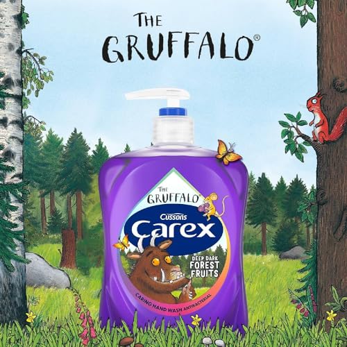 CAREX Carex Gruffalo Deep Dark Forest Fruits Hand Wash, Dermatologically Tested Liquid Soap that Clean and Protect Hands, 250ml