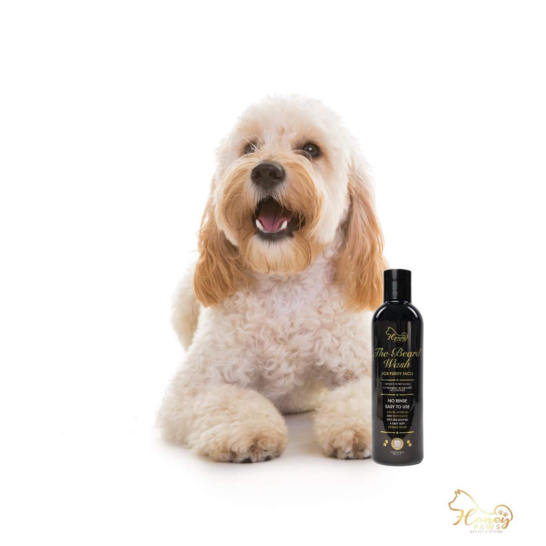 Honey Paws Dog Spa and Styling Honey Paws The Beard Wash for Furry Faces - No Rinse Facial - Cleans and Neutralises Odours - Prevents Tangling
