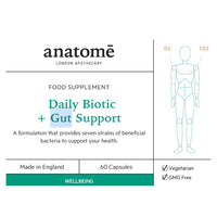 Anatome Daily Biotic + Gut Support - New Formula Nutritional Supplement for Regular Bowels - Probiotic with 20 Billion Good Gut Bacteria - 60 Capsules