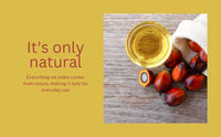 BELLE BEAUTY CARE Batana Oil For Hair, Recomended by Dr.Sebi, 120ml, 100% Pure & Natural from Honduras, 120ml by Belle Beauty Care