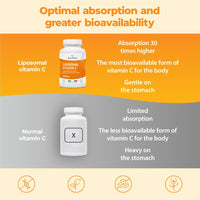 BANDINI Bandini® Liposomal Vitamin C | High Strength Ascorbic Acid Capsules, High Absorption & Bioavailability | Immunity, Energy, Skin Support - Boosts Collagen & Reduces Fatigue (180 Count (Pack of 1))
